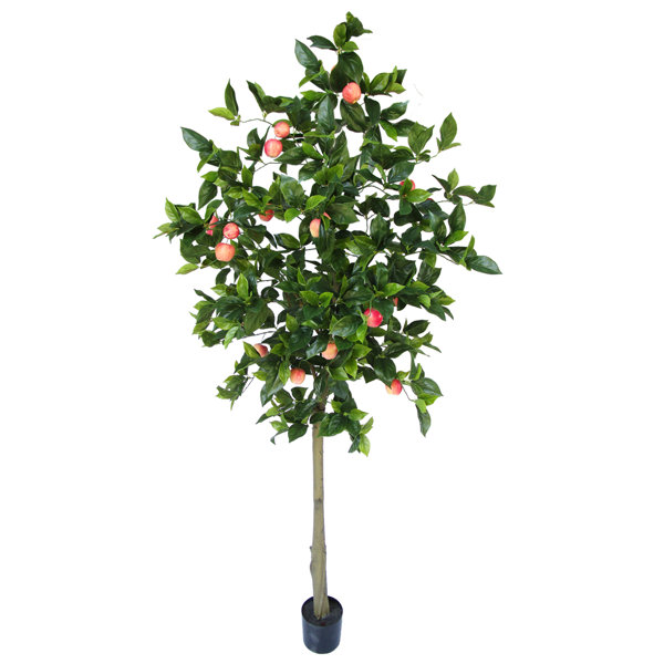 Winston Porter 84" Artificial Apple Tree in Pot Wayfair